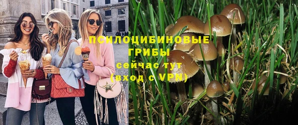герыч Богородск