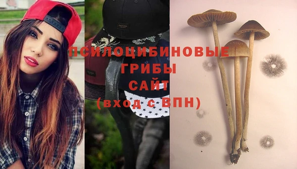 мяу мяу мука Богданович