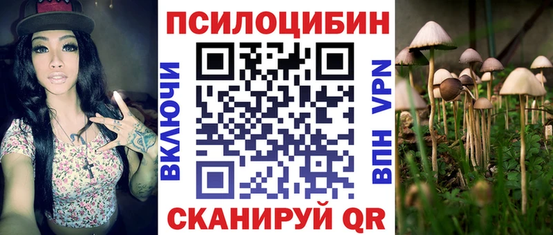 Псилоцибиновые грибы Psilocybe  блэк спрут   Миньяр 