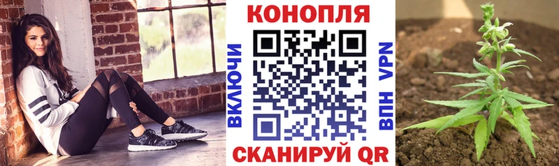 Бошки Шишки гибрид  купить  сайты  Миньяр 